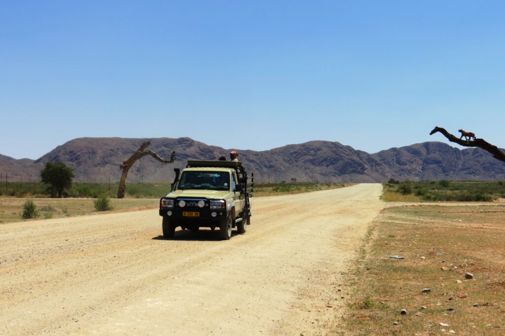 ein Jepp der auf einer Straße fährt