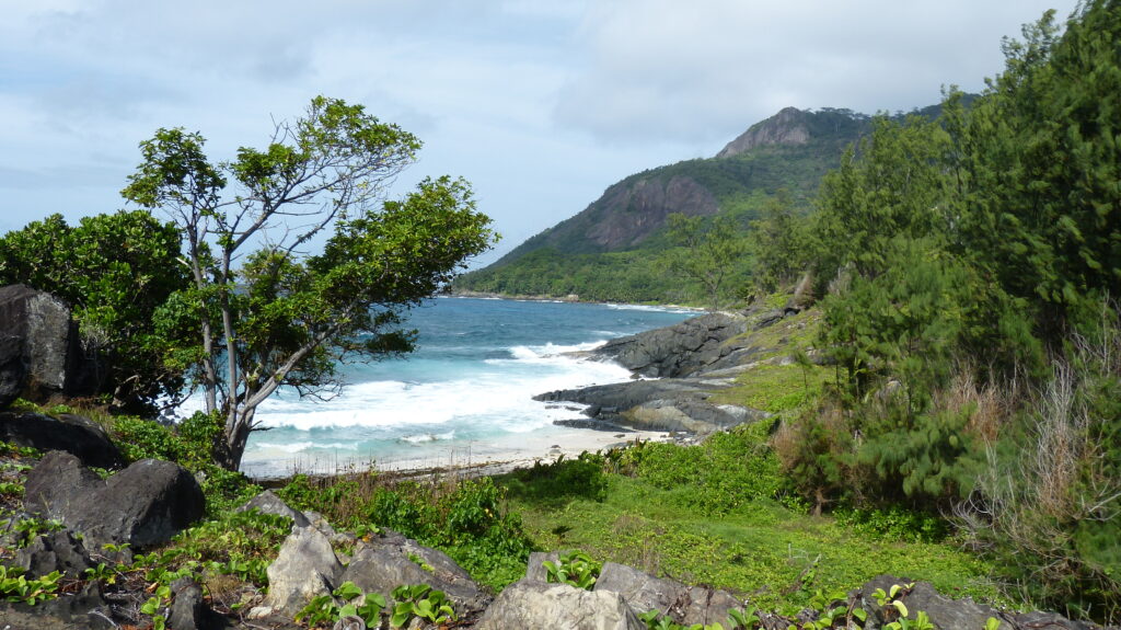kleine Bucht auf der Insel Silhouette umgeben von Pflanzen, im Hintergrund ist ein Berg zu sehen