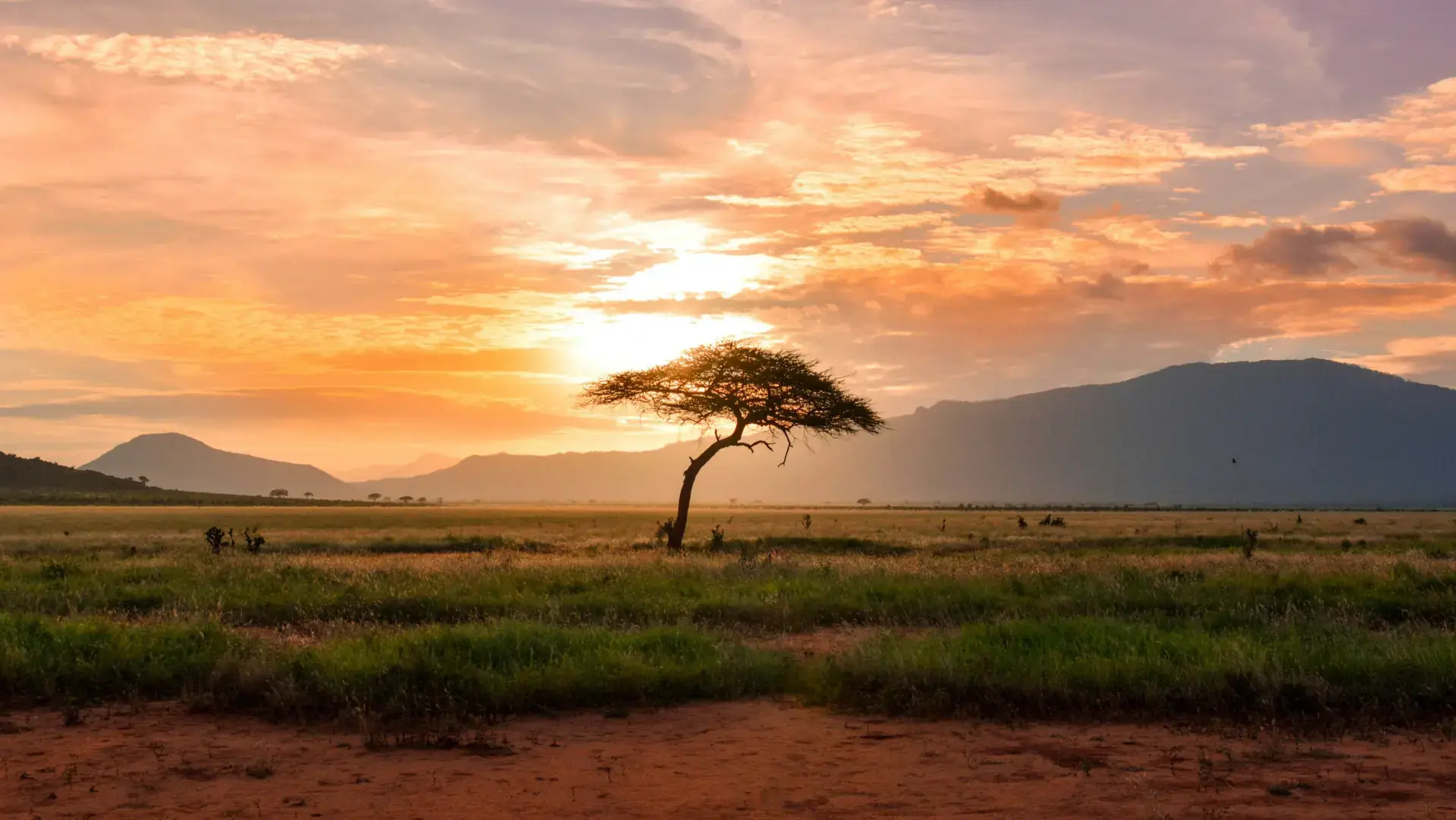 Nationalpark in Afrika mit weiter Landschaft