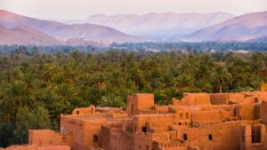 Blick auf Häuser aus Sandgestein, dahinter ein Wald aus Palmen