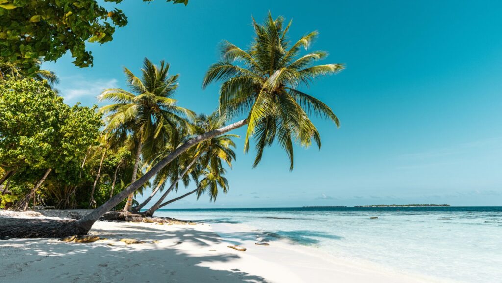 Traumstrand mit weißem Sand, Palmen und klarem Wasser