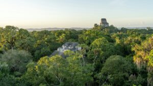 Blick auf grüne Landschaft mit alten Maya-Stätten